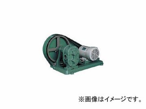 亀嶋鐵工所 ギャポンプ(電動機連結型) MES15