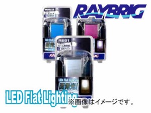 レイブリック/RAYBRIG 面発光ルームランプ RE51 12V 1.8W ホワイト 入り数：1個