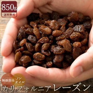 レーズン ノンオイル 850g 送料無料 無添加 砂糖不使用 1kgより少し少ない850g　[ 訳あり 無選別 不揃い ドライフルーツ カリフォルニア