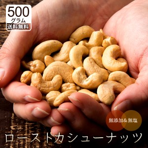 カシューナッツ 無塩 素焼き 500g 送料無料 無添加 愛すべきナッツ 素焼きカシューナッツ [ 素焼き ロースト カシュー ナッツ ベトナム産