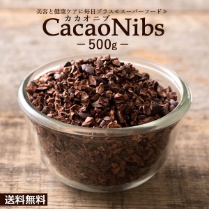 カカオニブ 500g 訳あり カカオ スーパーフード チョコチップ 送料無料 カカオ ポリフェノール 食物繊維 美容 健康 チョコレート カカオ