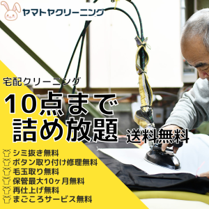 衣類クリーニング 宅配 10点 まで 詰め放題 ハンガー仕上げ 保管 送料無料 シミ抜き無料 宅配 コート スーツ ワンピース ダウン 衣替え 