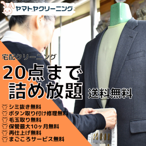 クリーニング 宅配 ２０点 まで 詰め放題 ハンガー仕上げ 保管 送料無料 シミ抜き無料 宅配 コート スーツ ワンピース ダウン 衣替え 毛