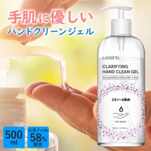 ハンドクリーンジェル エタノール58%配合 500ml 除菌 Clarifying Hand Clean Gel ポンプ ジェル 速乾 ウイルス ブロック 手指 洗浄 清潔