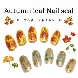 ネイルシール もみじ 落ち葉 秋 紅葉 リーフ ネイルステッカー 貼るだけ 秋ネイル ジェルネイル用品 ネイルアート セルフネイル