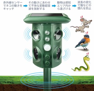 赤外線 センサー 猫 害獣対策 超音波 カラス 駆除器 スプリンクラー 鳥 カラス リス 鹿 Apsmo Edu Au 赤外線 センサー 猫 害獣対策 超音波 カラス 駆除器 スプリンクラー 鳥 カラス リス 鹿 Apsmo Edu Au