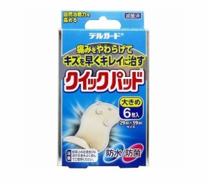 阿蘇製薬 デルガード クイックパッド 大きめ 6枚入【mor】【ご注文後発送までに1週間以上頂戴する場合がございます】【t-10】