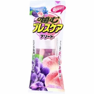 【５個セット】 小林製薬 噛むブレスケア アソート(25粒)×５個セット ※軽減税率対象品