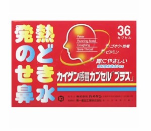 【第(2)類医薬品】カイゲンファーマ カイゲン感冒カプセル「プラス」 36カプセル【t-5】