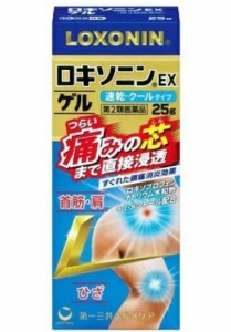 【第2類医薬品】【２０個セット】 第一三共ヘルスケア　ロキソニンＥＸ　ゲル　２５ｇ×２０個セット　