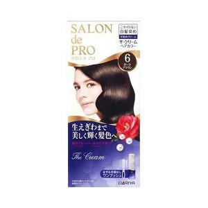 【２４個セット】【１ケース分】 サロンドプロ ザ・クリームヘアカラー 6 ダークブラウン 1セット×２４個セット　１ケース分 【dcs】【m