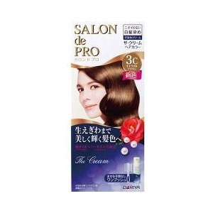 【２４個セット】【１ケース分】 サロンドプロ ザ・クリームヘアカラー 3C キャラメルブラウン 1セット×２４個セット　１ケース分 【dcs