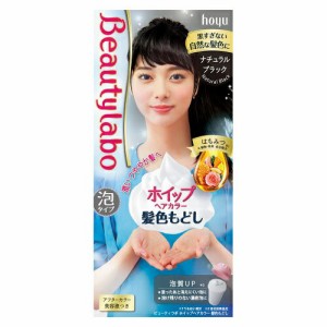 ビューティラボ ホイップヘアカラー 髪色もどし ナチュラルブラック 40ml+80ml+美容液5ml