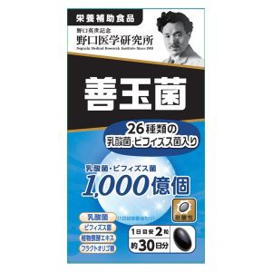 野口医学研究所 善玉菌 60粒 ※軽減税率対象品【t-k5】