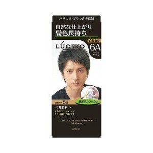 【２４個セット】【１ケース分】 ルシード ワンプッシュケアカラー アッシュブラウン 50g+50g×２４個セット　１ケース分 【dcs】