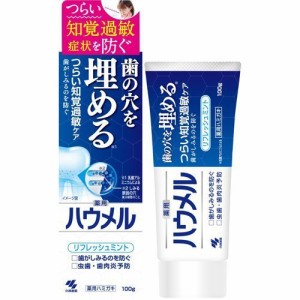 【２０個セット】ハウメル　(100g)  歯 埋める  は うめる×２０個セット 【t-5】