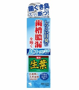 【４８個セット】【１ケース分】 小林製薬 薬用生葉I 息スーッと実感(100g)×４８個セット　１ケース分 【dcs】