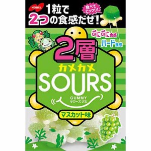 【３個セット】ノーベル製菓 2層カメカメサワーズ マスカット 45g×３個セット  ※軽減税率対応品【t-10】