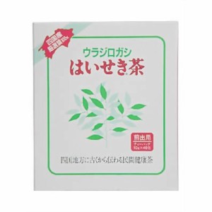 ウラジロガシ はいせき茶 煎出用 10ｇ×40包【ori】