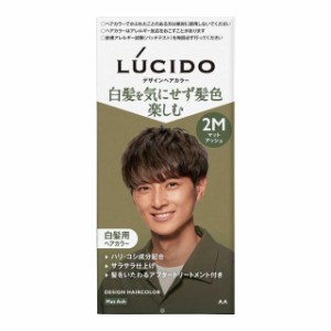 【５個セット】 ルシード　デザインヘアカラー　マットアッシュ  ×５個セット 