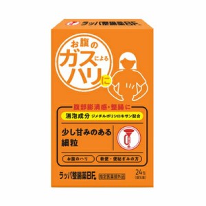 【２０個セット】 ラッパ整腸薬BF　24包 【指定医薬部外品】 ×２０個セット 【t-6】