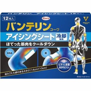 【２０個セット】【１ケース分】 バンテリンコーワ アイシングシート 冷却専用 １２枚入×２０個セット　１ケース分　 【k】【ご注文後発