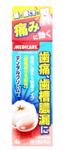 【第2類医薬品】デンタルクリームT 4g