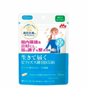 生きて届く　ビフィズス菌ＢＢ５３６（１５日分）　※軽減税率対商品