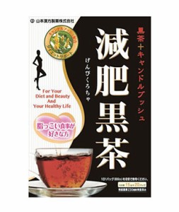 山本漢方　減肥黒茶 15g×20包 山本漢方　減肥茶 ダイエット茶 ダイエットティー 黒茶 油っこい食事　※軽減税率対商品