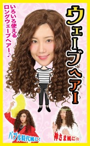 カツランド ウェーブヘアー バブリー ロング 長髪 衣装 かつら ウィッグ キャラクター風 かぶりもの コスプレ 小道具 仮装 変装 宴会 パ