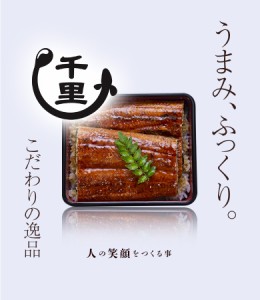 ギフト 送料無料 うなぎ 蒲焼 千里うなぎ蒲焼 (大) １５０ｇ 無頭 ３尾 国産 うなぎ ギフト セット 冷凍発送  鰻 ウナギ 鹿児島 御歳暮