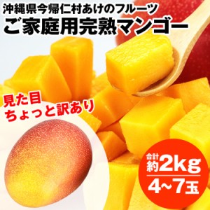 マンゴー 沖縄 完熟マンゴー ご家庭用 2kg 4〜6玉 糖度14度選果 今帰仁村 アップルマンゴー 常温便 同梱不可 指定日不可