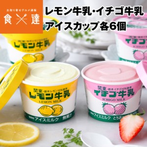 レモン牛乳 イチゴ牛乳カップ 各6個 12個セット アイス アイスクリーム ギフト フタバ食品 冷凍便 お取り寄せグルメ 同梱不可 指定日不可