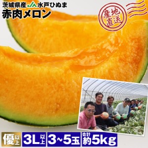 メロン 茨城県産 5kg 3〜5玉 産地直送 優以上 レノンメロン 赤肉メロン 産直 常温便 同梱不可 指定日不可