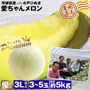 メロン 希少 茨城県産 3〜5玉 5kg 優以上 愛ちゃんメロン イバラキング アンデスメロン 青肉 産直 常温便 同梱不可 指定日不可