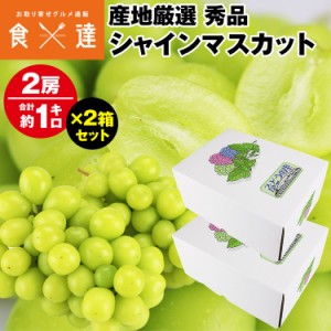 シャインマスカット 2箱 4房 2kg (1箱あたり 2房 1kg 秀品）ぶどう 産地厳選 贈答用 ギフト 冷蔵便 同梱不可 指定日不可