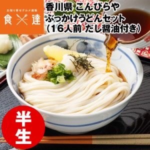 うどん  さぬきうどん 讃岐うどん 16人前 だし醤油500ml付 ぶっかけ 半生麺 産地直送 常温便 同梱不可 指定日不可 産直