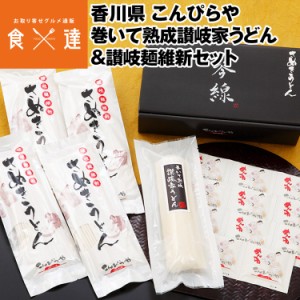 うどん さぬきうどん 讃岐うどん 2種食べ比べセット 讃岐麺維新 巻いて熟成讃岐家うどん 産地直送 常温便 同梱不可 指定日不可 産直