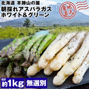 アスパラガス 朝採れ 北海道産 1kg ホワイトアスパラ グリーンアスパラ 各500g アスパラ 冷蔵便 同梱不可 指定日不可 産直