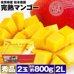 マンゴー 完熟 ギフト 2玉 合計約800g 2L 佐賀県産 アップルマンゴー アーウィン 秀品 化粧箱 常温便 同梱不可 指定日不可 産直