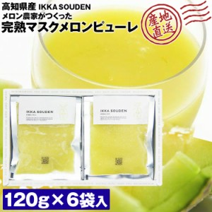 完熟マスクメロンピューレ 冷凍 高級 120g×6袋 ジュース シャーベット 産地直送 高知県産 産直 冷凍便 同梱不可 指定日不可