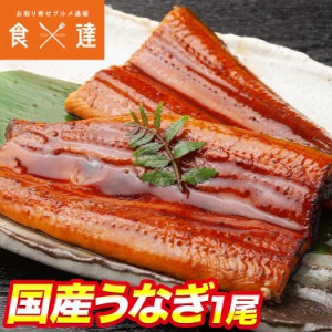 国産うなぎ 1尾 約150g 鰻 うなぎ ウナギ 蒲焼 かば焼き 土用丑 土用 丑の日 スタミナ 夏 冷凍便 ギフト お取り寄せグルメ 食品