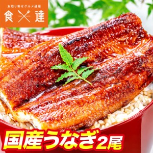 国産うなぎ 2尾 約150g ×2 鰻 うなぎ ウナギ 蒲焼 かば焼き 土用丑 土用 丑の日 スタミナ 夏 冷凍便 ギフト お取り寄せグルメ 食品