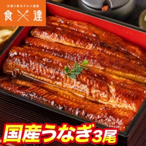 国産うなぎ 3尾 約150g ×3 鰻 うなぎ ウナギ 蒲焼 かば焼き 土用丑 土用 丑の日 スタミナ 夏 冷凍便 ギフト お取り寄せグルメ 食品