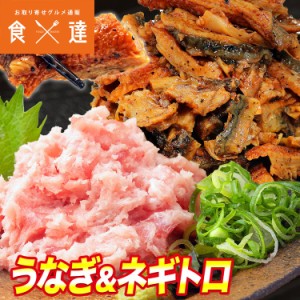 ネギトロと刻み鰻セット マグロ 5人前 うなぎ 500g 鮪 ねぎとろ まぐろ 鰻 冷凍便 グルメ 海鮮 お取り寄せグルメ