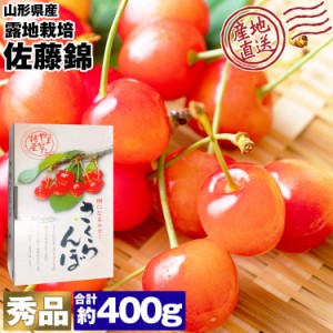 さくらんぼ 400g (200g×2パック) 佐藤錦 秀品 露地栽培 ギフト サクランボ 冷蔵便 同梱不可 指定日不可 産直