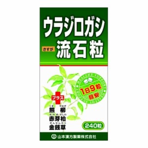 ウラジロガシ流石粒【２４０粒】（山本漢方）