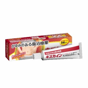 【第2類医薬品】キズカイン　【１５ｇ】（丹平製薬）