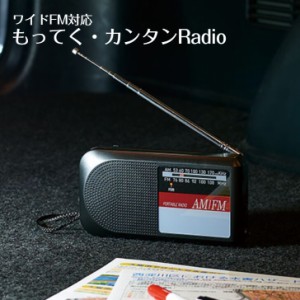 もってく・カンタンRadio（ラジオ） 防災セット 防災グッズ 防災用品 避難用品 避難グッズ 緊急避難セット 非常持ち出し袋 非常持ち出し