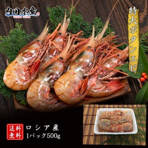 【送料無料】ギフト 特大 ボタンエビ500g 冷凍便 食品ロス ボタンエビ お刺身 海鮮丼 海鮮
